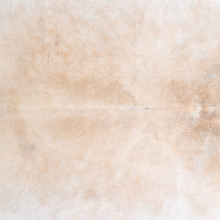 Brazilian Grey Palomino Cowhide Rug Size 7'8" L x 7'3" W 4923