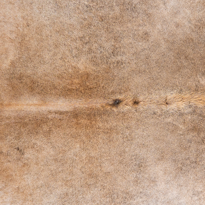 Brazilian Grey Palomino Cowhide Rug Size 7'5" L x 7'2" W 4925