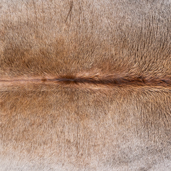 Brazilian Grey Palomino Cowhide Rug Size 7'10" L x 6'11" W 4927