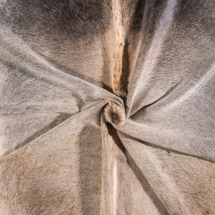 Brazilian Grey Palomino Cowhide Rug Size 7'9" L x 6'4" W 4928