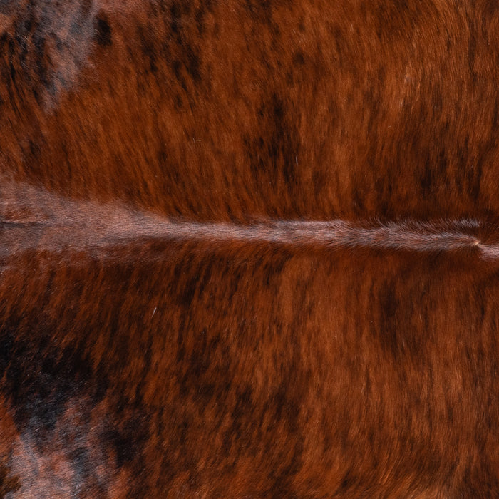 Brazilian Brindle Cowhide Rug Size 6'10" L x 7'2" W 4725