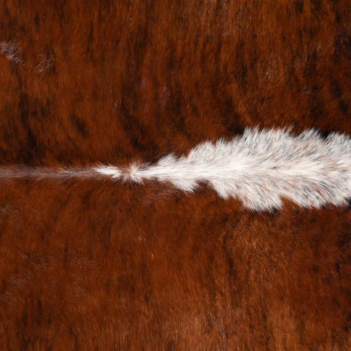 Brazilian Brindle White Belly and Backbone Cowhide Rug Size 7'8" L x 7'6" W 3683