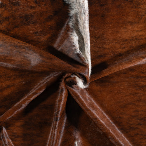 Brazilian Brindle White Belly and Backbone Cowhide Rug Size 7'8" L x 7'6" W 3683