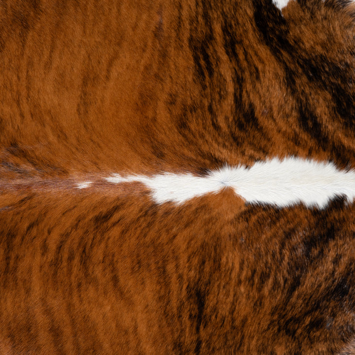 Brazilian Brindle White Belly and Backbone Cowhide Rug Size 7'9" L x 6'5" W 3685