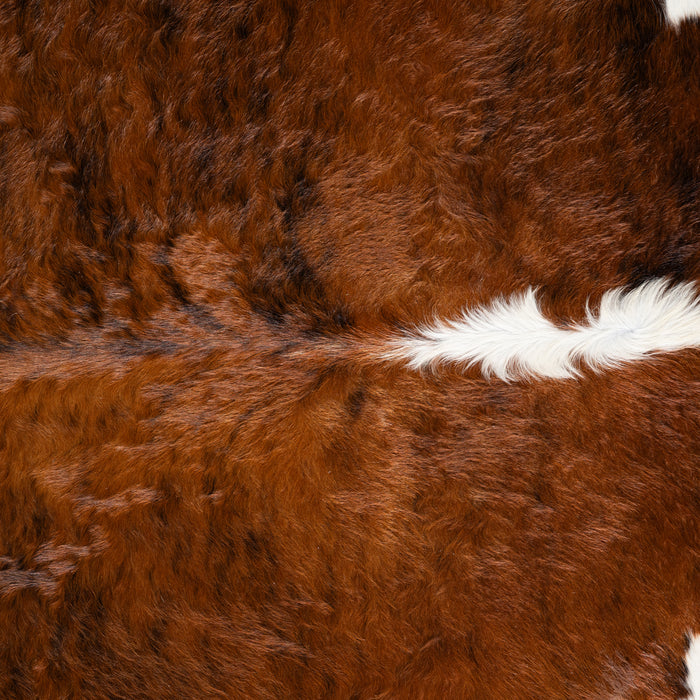 Brazilian Brindle White Belly and Backbone Cowhide Rug Size 7'8" L x 7'9" W 3693