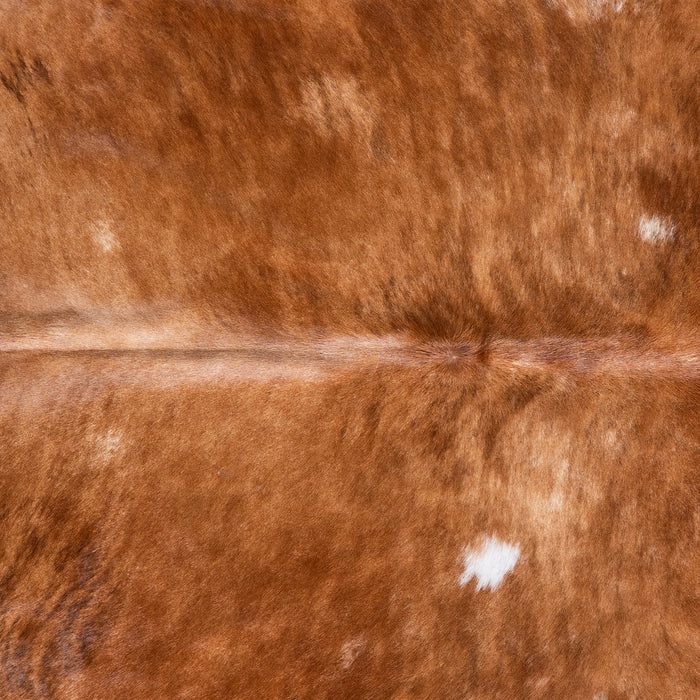 Brazilian Brindle White Belly Cowhide Rug Size 7'10" L x 6'10" W 5964