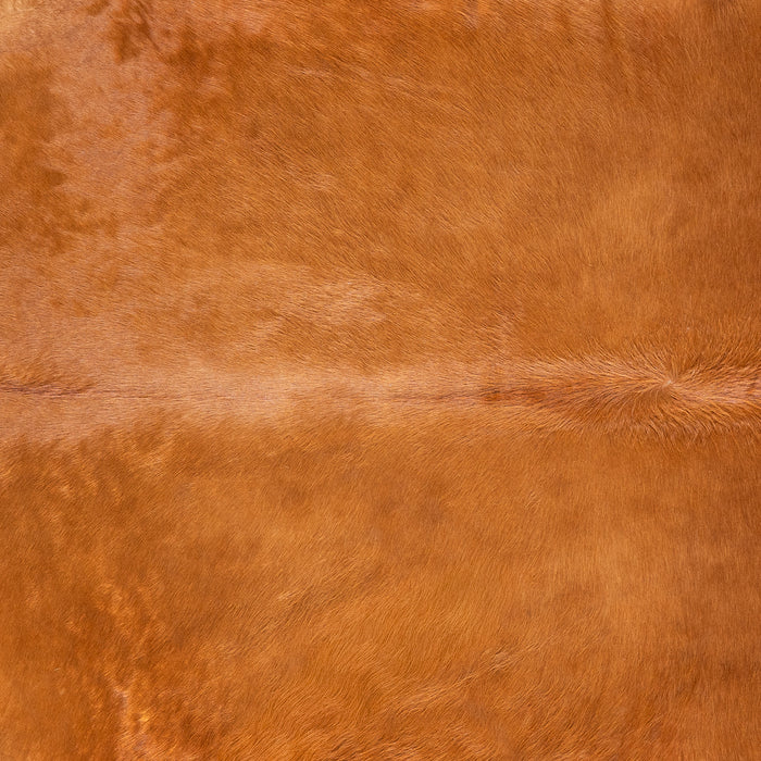 Brazilian Brown Cowhide Rug Size 11'6" L x 7'6" W 4754