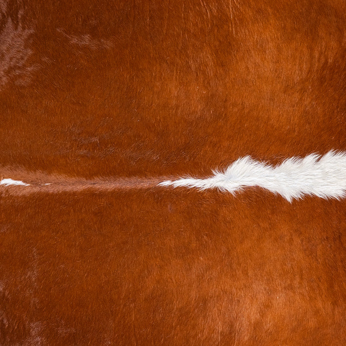 Brazilian Hereford Cowhide Rug Size 6'9" L x 6'9" W 4983