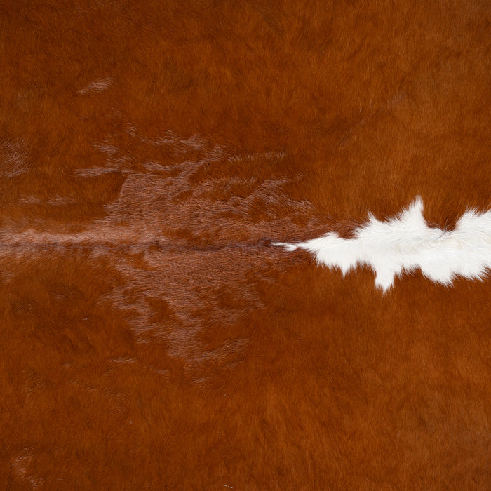 Brazilian Hereford Cowhide Rug Size 7'0" L x 7'5" W 3711