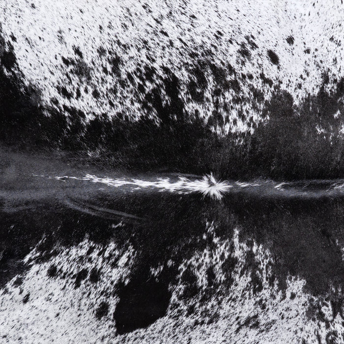 Brazilian Black Salt and Pepper Cowhide Rug Size 8'3" L x 6'3" W 5993