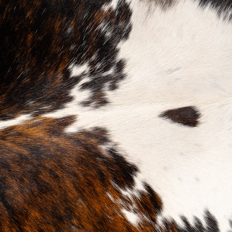 Dark Tricolor Cowhide Rug Size 7'2'' L X 6'10'' W 4976 , Stain Resistant Fur | eCowhides