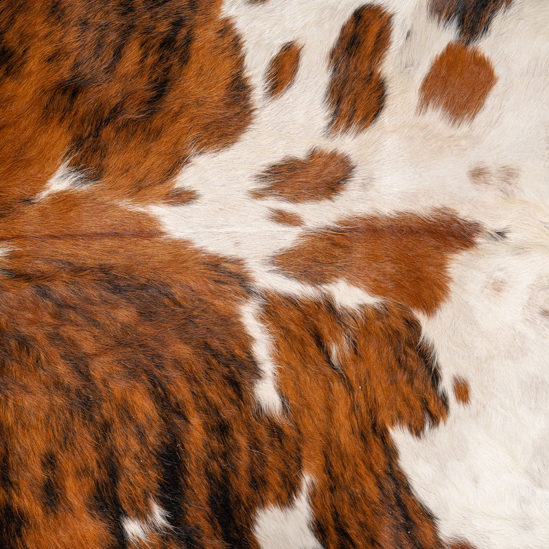 Tricolor Cowhide Rug Size 8'7'' L X 6'10'' W 4984 , Stain Resistant Fur | eCowhides