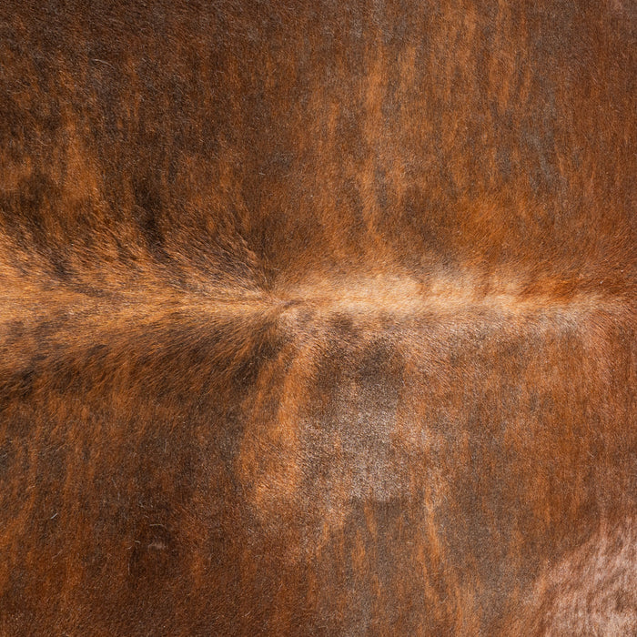 Brindle Cowhide Rug Size 8'0" L x 7'2" W 5090