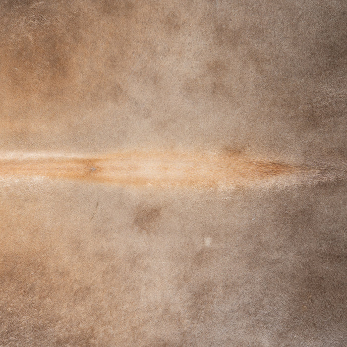 Brazilian Grey Palomino Cowhide Rug Size 7'8" L x 6'11" W 3830