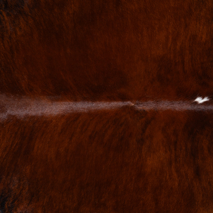 Brazilian Brindle White Belly Cowhide Rug Size 7'7" L x 6'11" W 3834