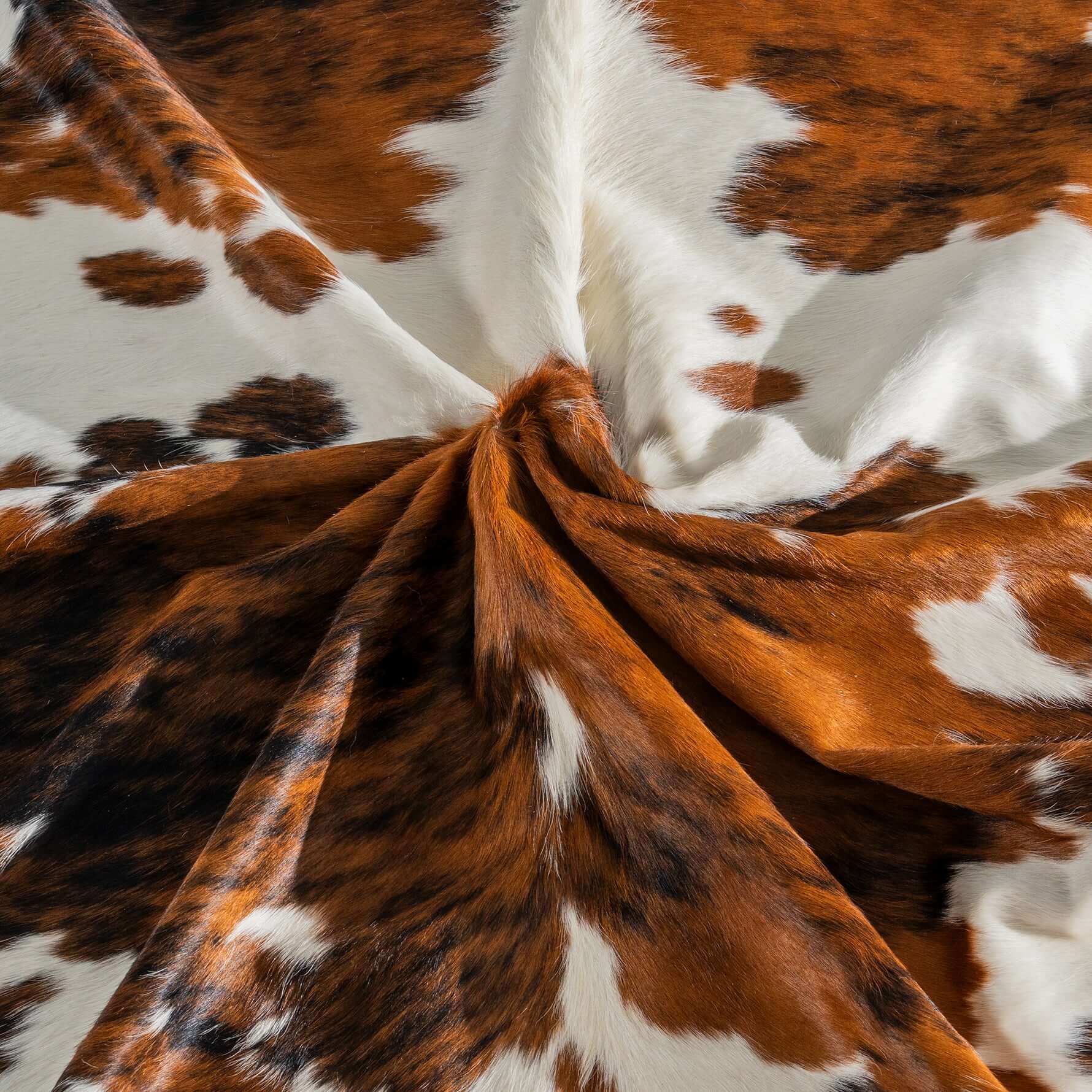 Close-up of brown and white cowhide rug