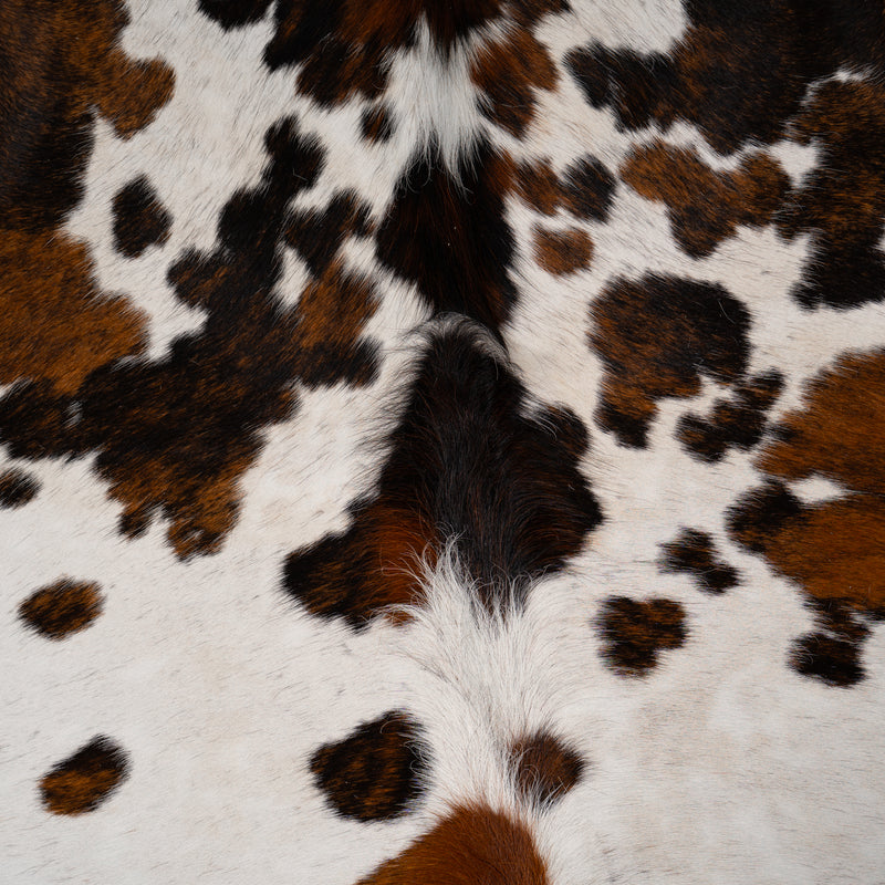 Tricolor Cowhide Rug Size 6'10'' L X 6'2'' W 5070 , Stain Resistant Fur | eCowhides