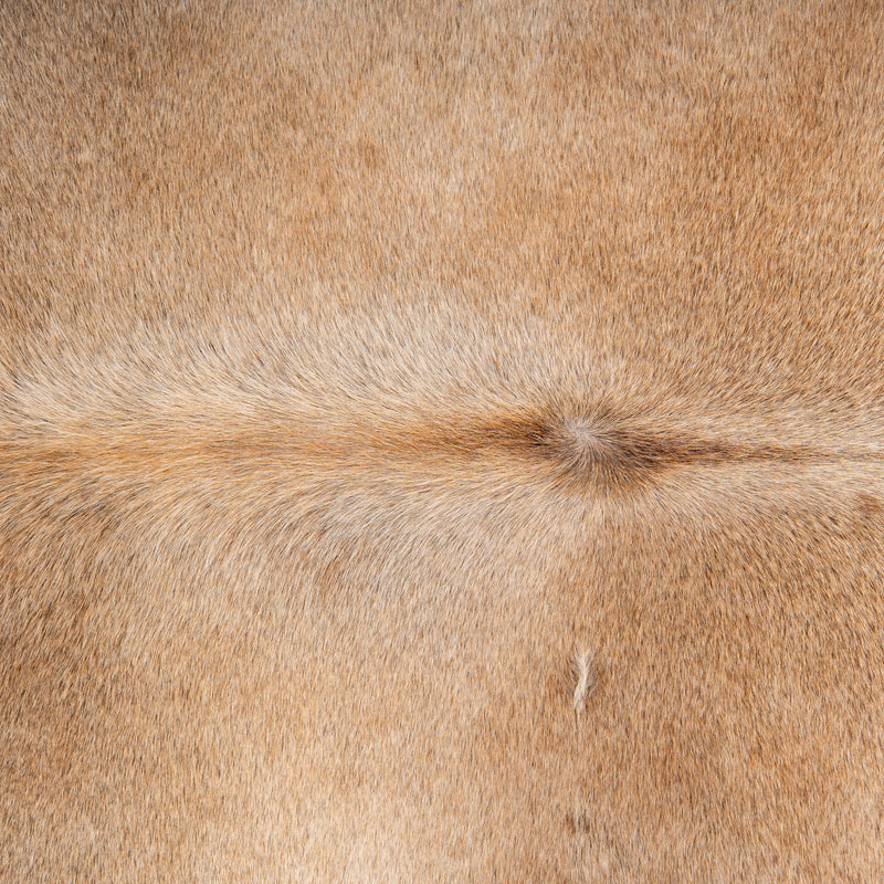 Brazilian Grey Palomino Cowhide Rug Size 7' L X 6'10" W 5117 , Stain Resistant Fur | eCowhides