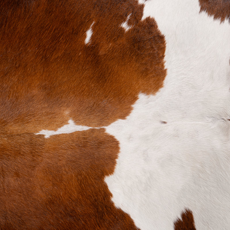 Chocolate And White Cowhide Rug Size 7'4'' L X 6'10'' W 5264 , Stain Resistant Fur | eCowhides
