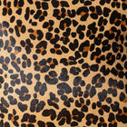 files/DSC01982.webp