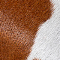 The Different Types of Cowhide: Hair-on Hide, Hair-off Hide, and More ...