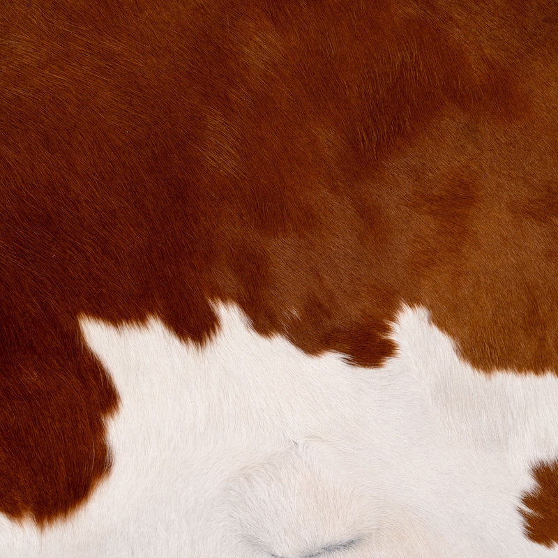 Brown and White Cowhide Rug Size  7'4" L x 6'9" W 5669