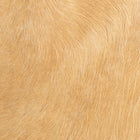 files/DSC06198-2.jpg