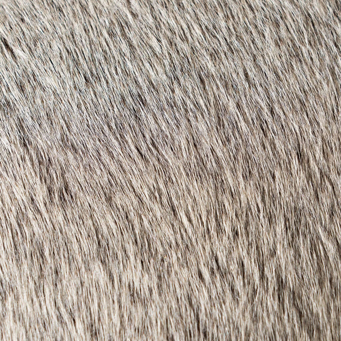 Close-up of grey fur texture