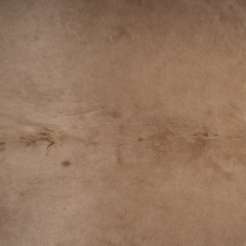 Brazilian Beige Cowhide Rug Size 8' L x 7'2" W 6998