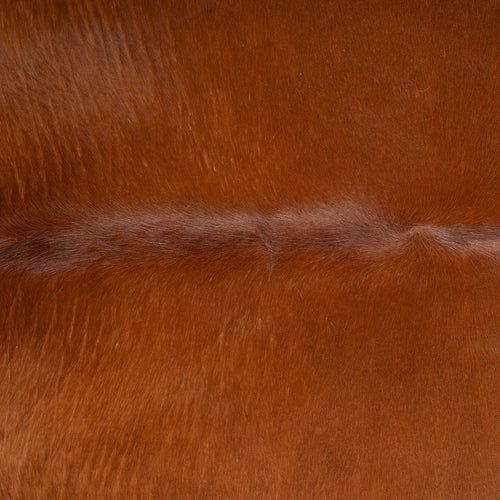 Brazilian Brown Cowhide Rug Size 7'8" L x 6'10" W 7243