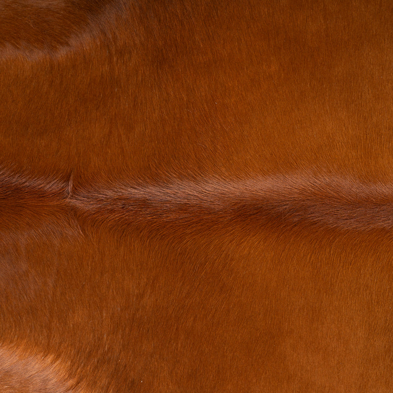 Brazilian Brown Cowhide Rug Size 6'10" L x 6'1" W 7264