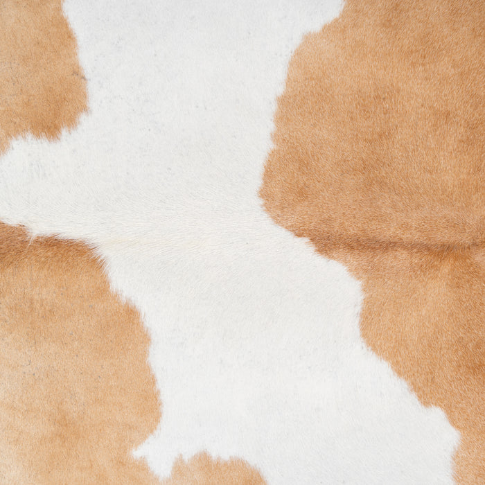 Brazilian Palomino and White Cowhide Rug Size 6'10" L x 5'11" W 2353