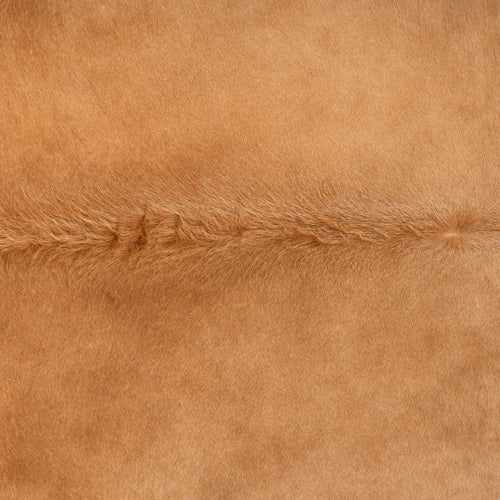 Brazilian Beige Cowhide Rug Size 6.11" L x 6'3" W 7465