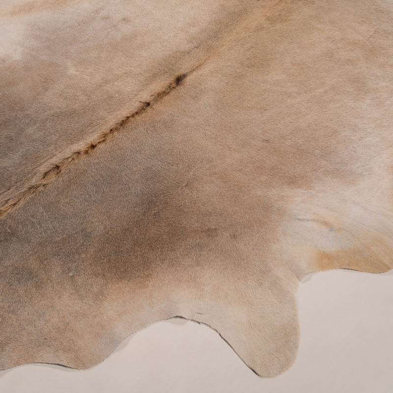 Brazilian Grey Palomino Cowhide Rug Size 8.0" L x 7'8" W 7477