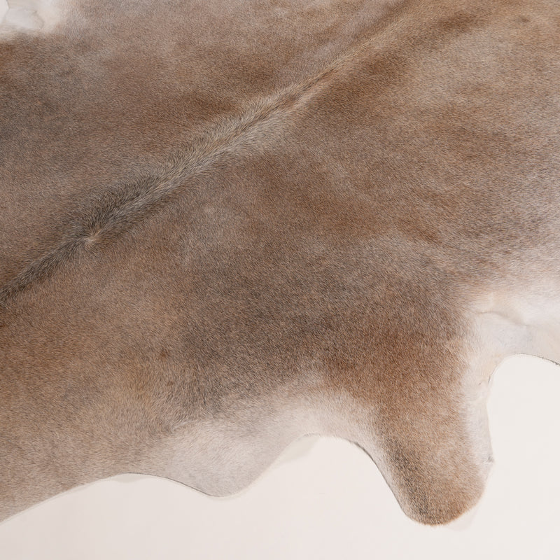 Brazilian Grey Palomino Cowhide Rug Size 7.4" L x 6'6" W 7485