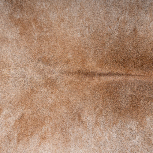 Brazilian Grey Palomino Cowhide Rug Size 6'11" L x 7'3" W 7489