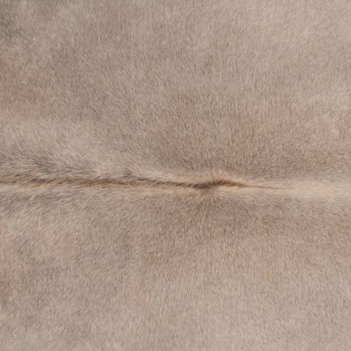 Brazilian Grey Palomino Cowhide Rug Size 6.3" L x 6'2" W 7497