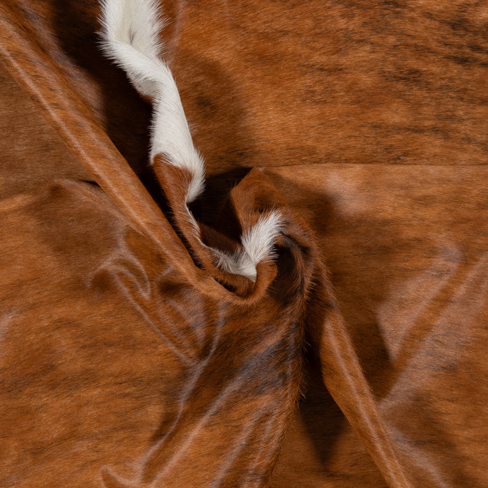 Brazilian Brindle White Belly and Backbone Cowhide Rug Size 6'10" L x 6'10" W 2582