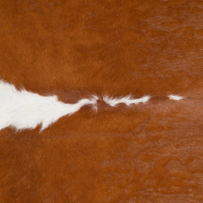 Brazilian Hereford Cowhide Rug Size 7'3" L x 7'6" W 2642