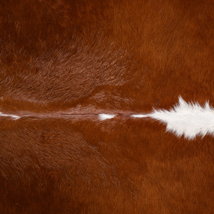 Brazilian Hereford Cowhide Rug Size 7'4" L x 7'1" W 3252