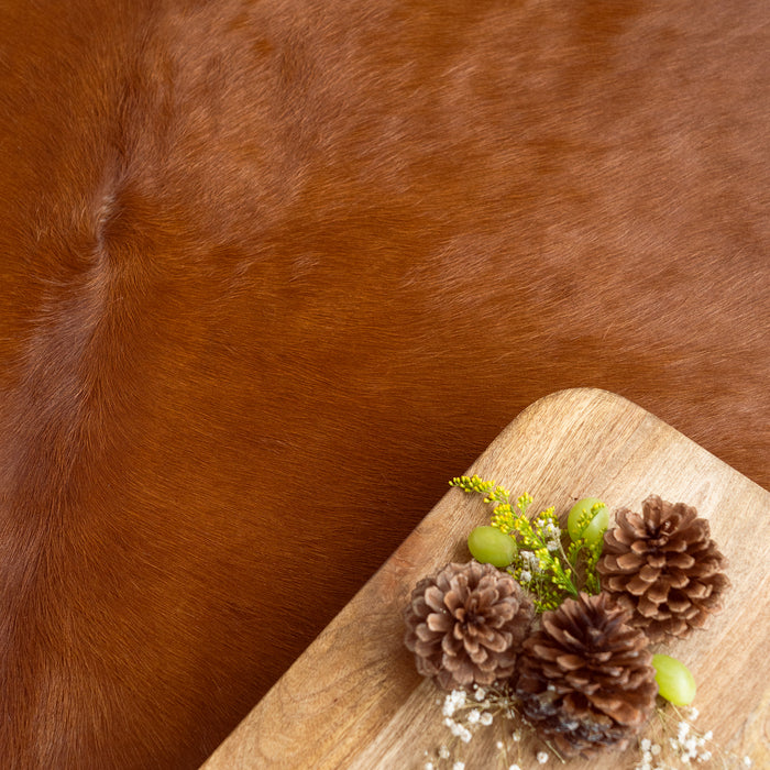 Solid Brown Cowhide Rug