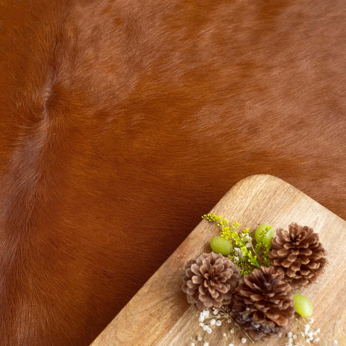 Solid Brown Cowhide Rug