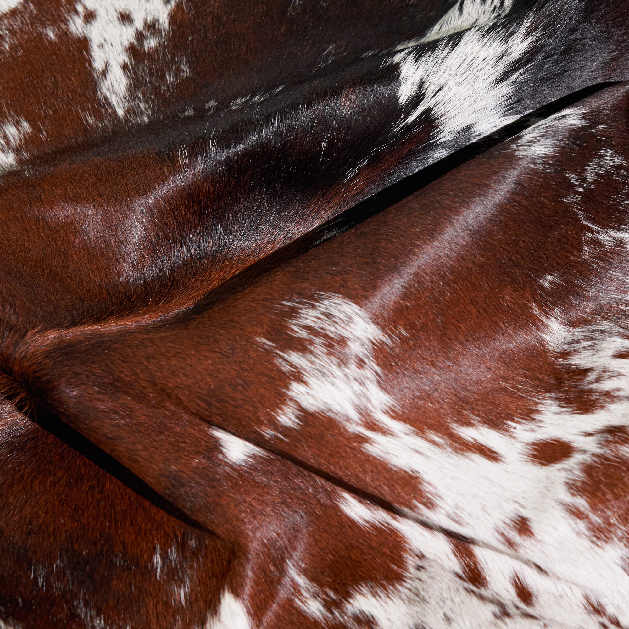 Chocolate And White Brazilian Cowhide Rug: Large , Natural Suede