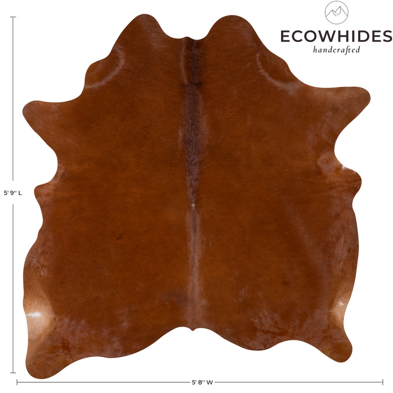 Brazilian Brown Cowhide Rug Size 5'9" L x 5'8" W 7238