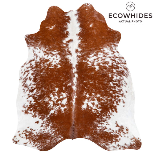Brazilian  Brown and White Cowhide Rug Size 6'0" L x 5'3" W 1516