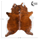 Brazilian Brindle White Belly Cowhide Rug Size 7'5" L x 6'1" W 1524