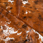 files/DSC_1769_size_c9a7609a-89f4-464e-9021-d3ec1803be03.jpg