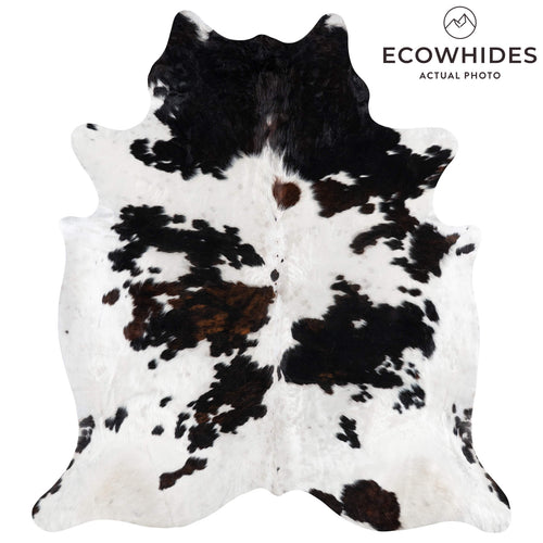 Dark Tricolor Cowhide Rug Size 7'10" L x 7'1" W 1922
