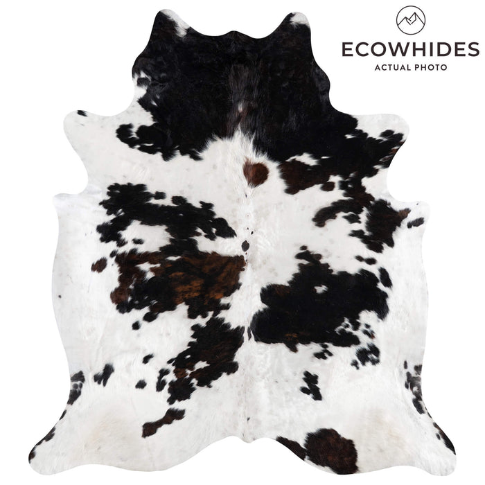 Dark Tricolor Cowhide Rug Size 7'10" L x 7'1" W 1922