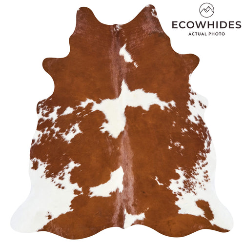 Brazilian Brown and White Cowhide Rug Size 6'4" L x 5'11" W 2647